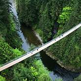 vancouver1 capilano bridge