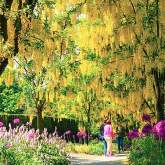 VanDusen Botanical Garden